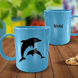 Dolphins Plastic Mug